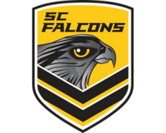 Falcons club logo